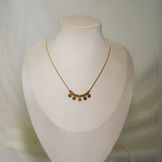 cira chain